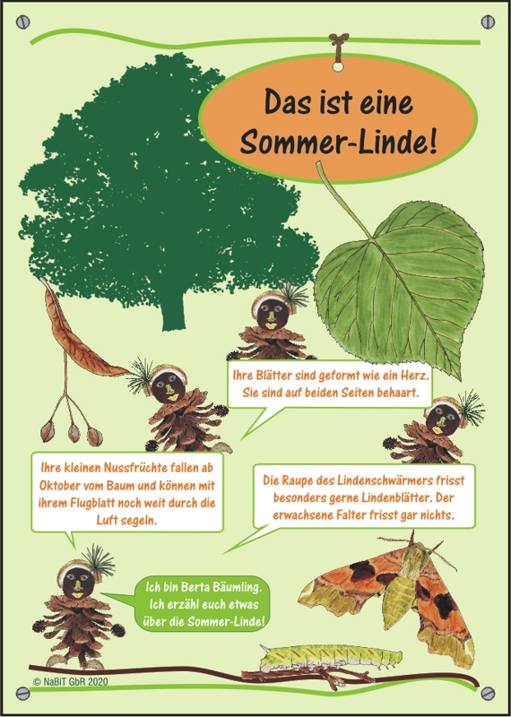 nabit Kinder-Baumschild "Sommer-Linde"