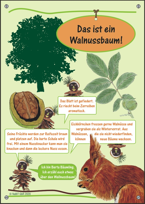 nabit Kinder-Baumschild "Walnuss"